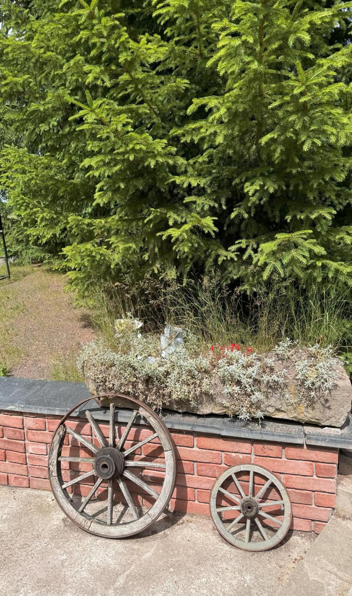 Villa Marchewkowe Pole Sosnina Esterno foto