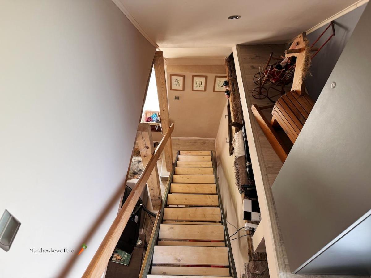 Villa Marchewkowe Pole Sosnina Esterno foto
