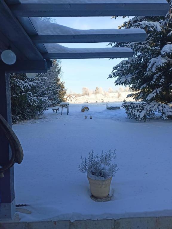 Villa Marchewkowe Pole Sosnina Esterno foto