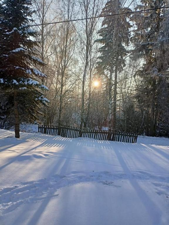 Villa Marchewkowe Pole Sosnina Esterno foto