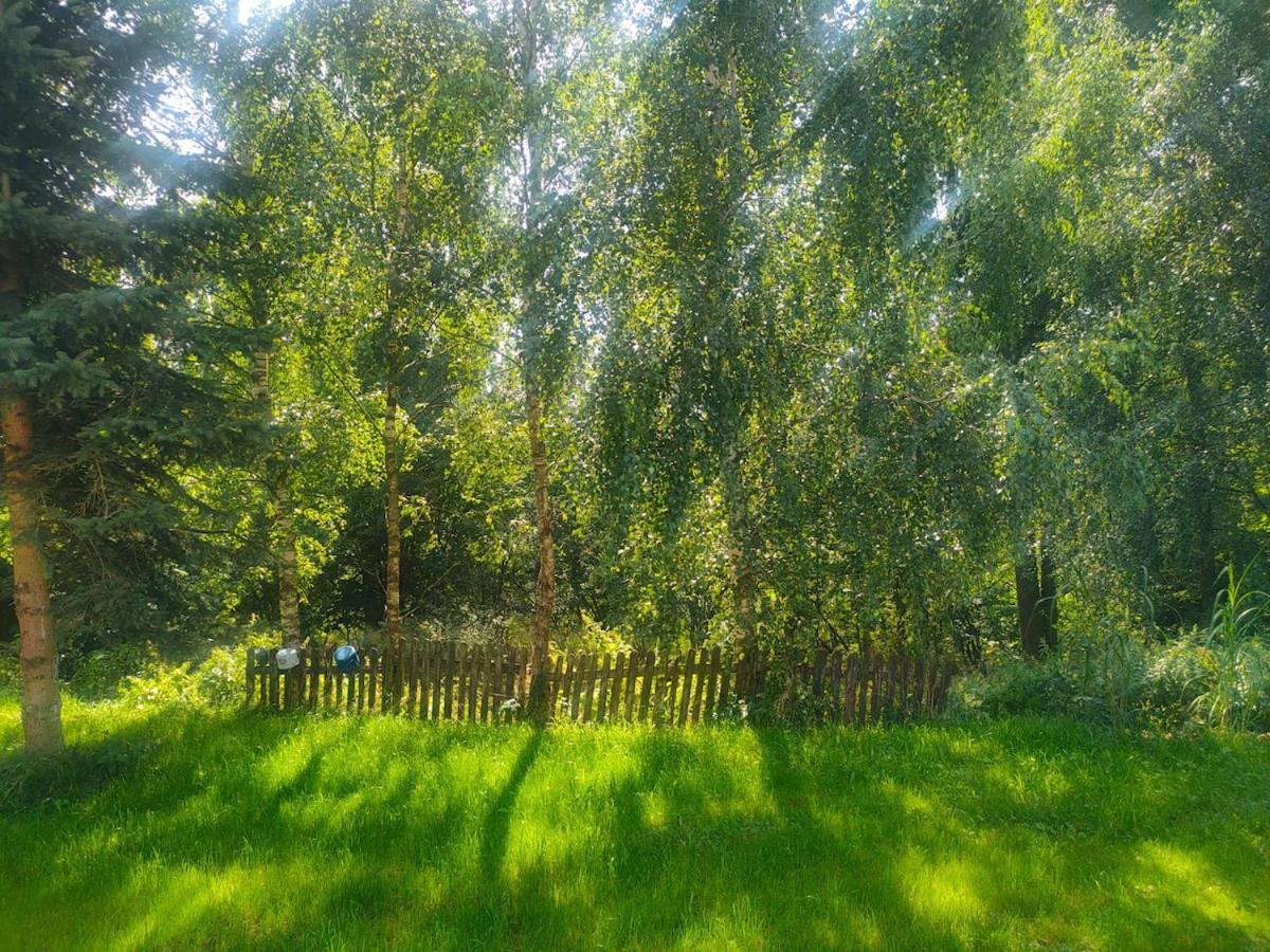 Villa Marchewkowe Pole Sosnina Esterno foto